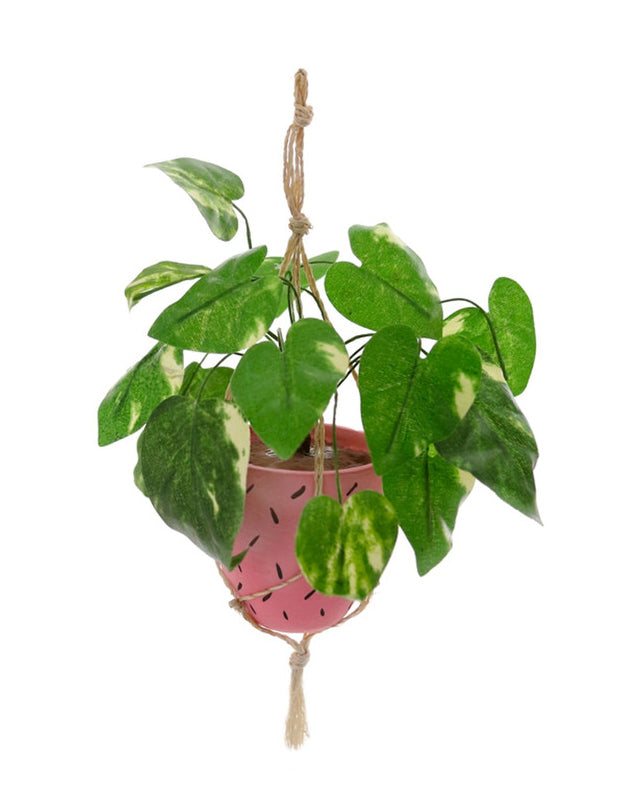 Hanging Plant Ornament